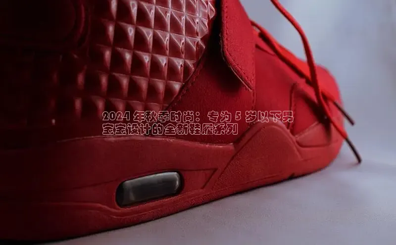 乐玩国际官方唯一入口网站ARGA公司2024 年秋季时尚：专为 5 岁以下男
宝宝设计的全新鞋履系列