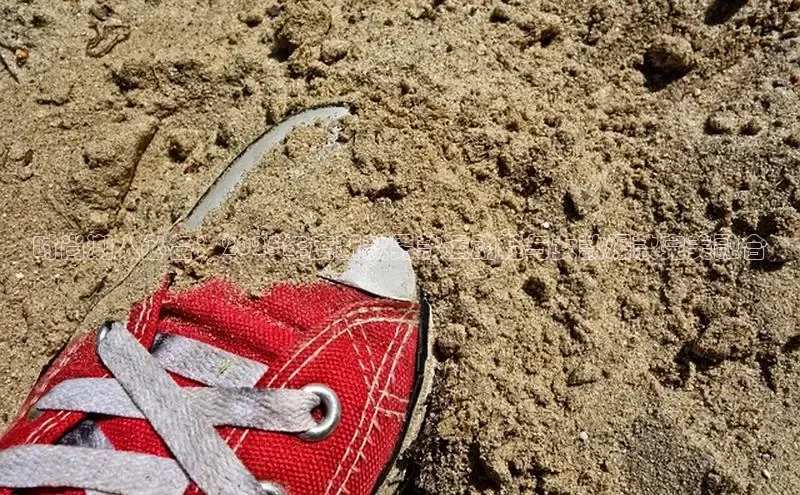 lewin乐玩百度信誉时尚潮人必备：2025年度新款男款运动鞋与女款爆款完美融合