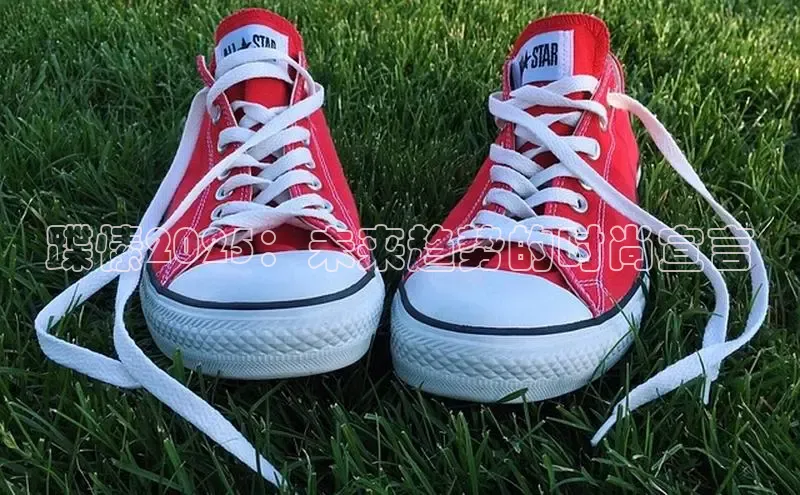 蹀愫2025：未来趋势的时尚宣言