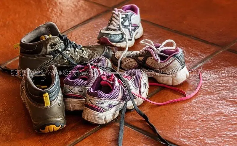 未来趋势：2025年前瞻性分析——老爹鞋在乔丹体育中的全新角色